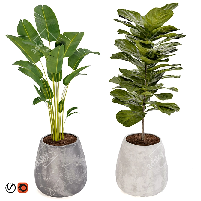 Title: Boho Chic Plant Collection 3D model image 1