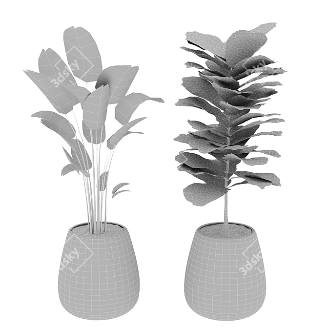 Title: Boho Chic Plant Collection 3D model image 4