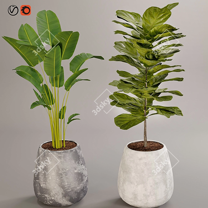 Title: Boho Chic Plant Collection 3D model image 8