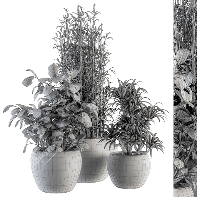 Green Oasis: Indoor Plant Set 3D model image 4