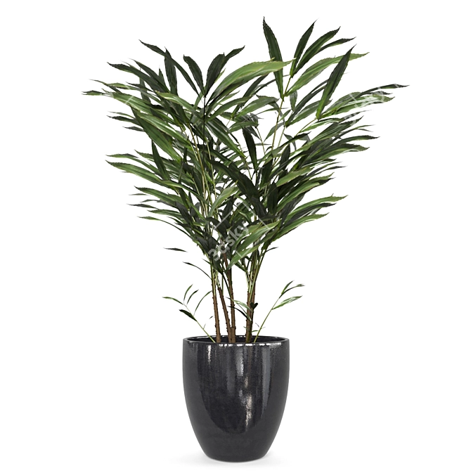 Green Oasis Indoor Plant Set 3D model image 3