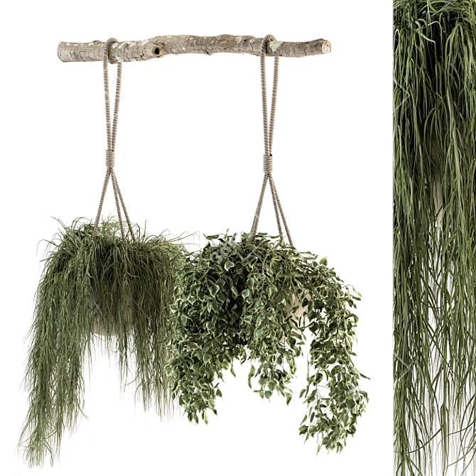 Botanical Bliss - Hanging Plant Set 3D model image 2