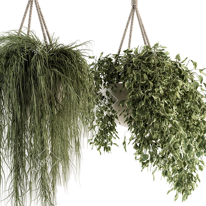 Botanical Bliss - Hanging Plant Set 3D model image 6