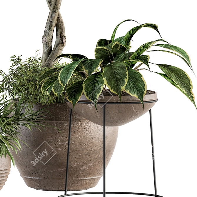 Garden Greenery Set - Potted Plants 3D model image 3