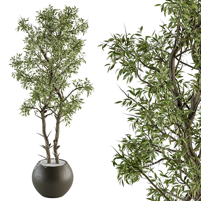 231 Indoor Plant Set in Pot 3D model image 1