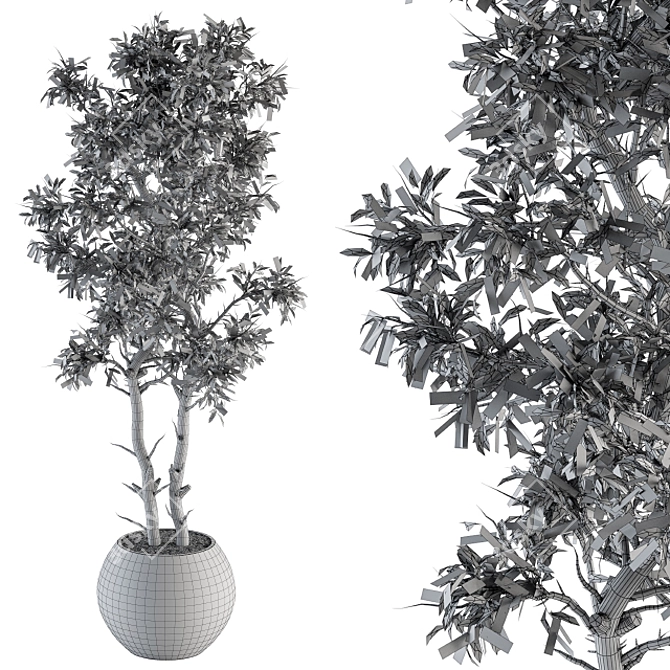 231 Indoor Plant Set in Pot 3D model image 3