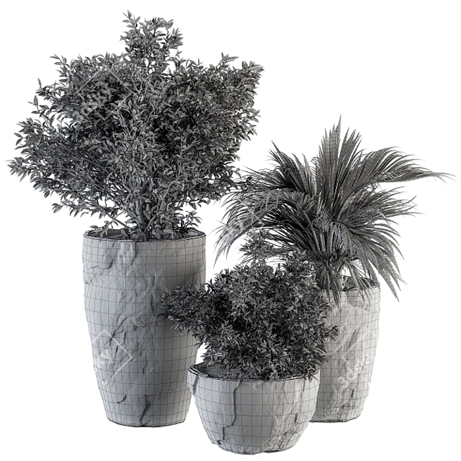 Rock Pot Indoor Plant Set 3D model image 5