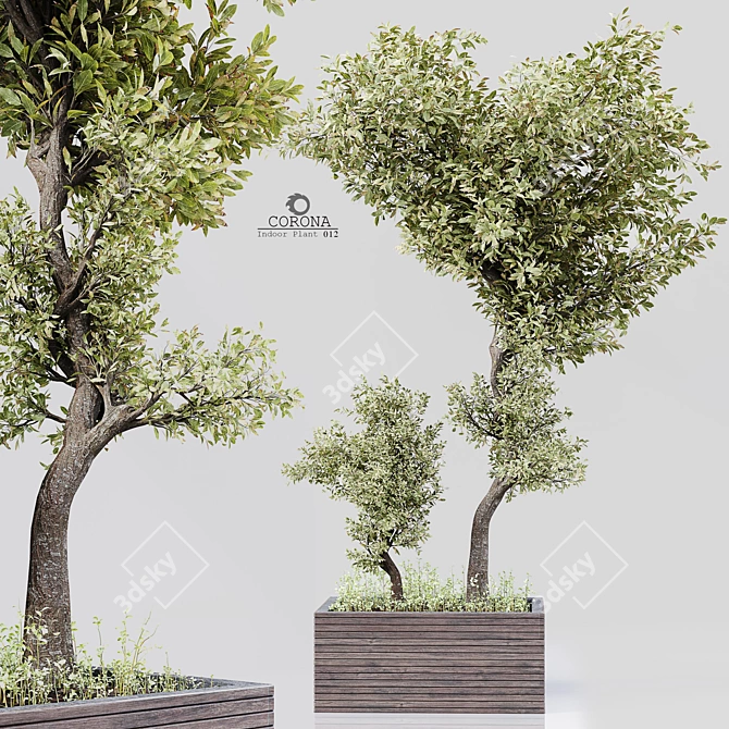 Luxury Indoor Plant: Model 012 3D model image 1