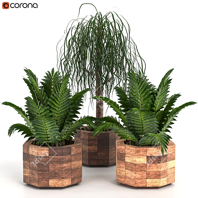 Leafy Green Beauties: Houseplants 07 3D model image 1