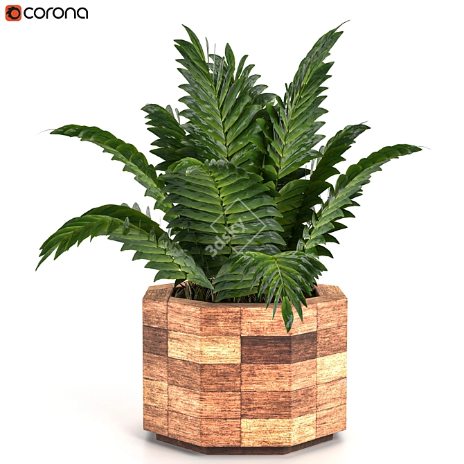 Leafy Green Beauties: Houseplants 07 3D model image 3