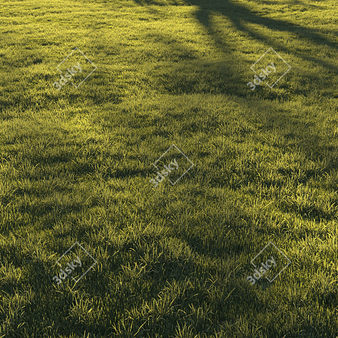 Lush Green Lawn Grass: High-Quality 3D Model 3D model image 1