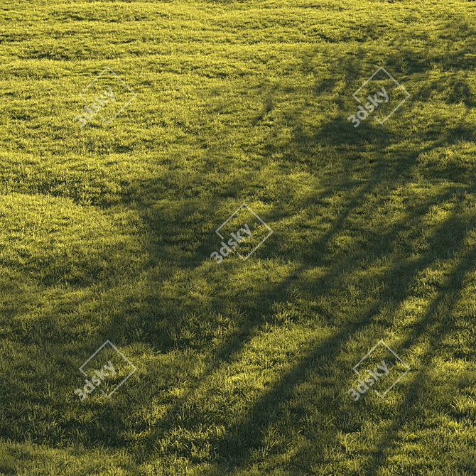 Lush Green Lawn Grass: High-Quality 3D Model 3D model image 5