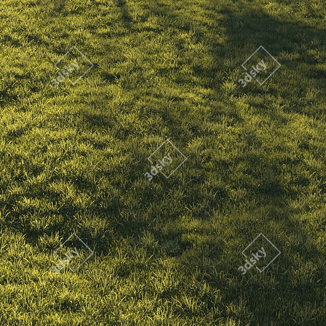 Lush Green Lawn Grass: High-Quality 3D Model 3D model image 7