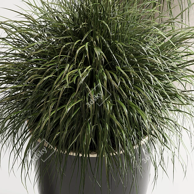 Concrete Vase: Indoor Plant Collection 3D model image 3