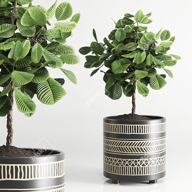 Handmade Pottery Vase for Indoor Plants 3D model image 2