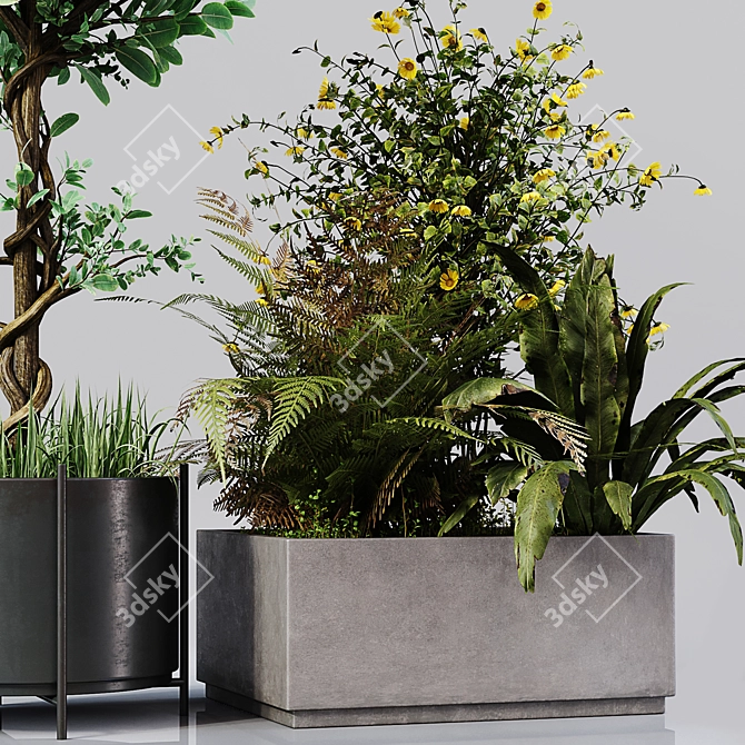 Elegant Indoor Plant Décor 3D model image 2