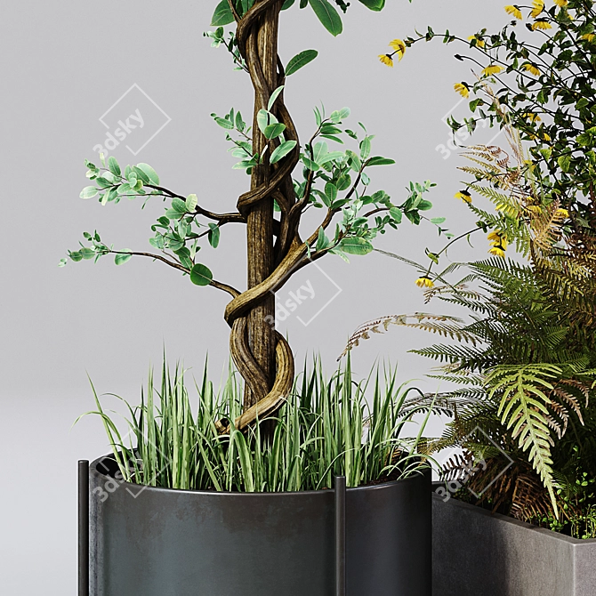 Elegant Indoor Plant Décor 3D model image 3