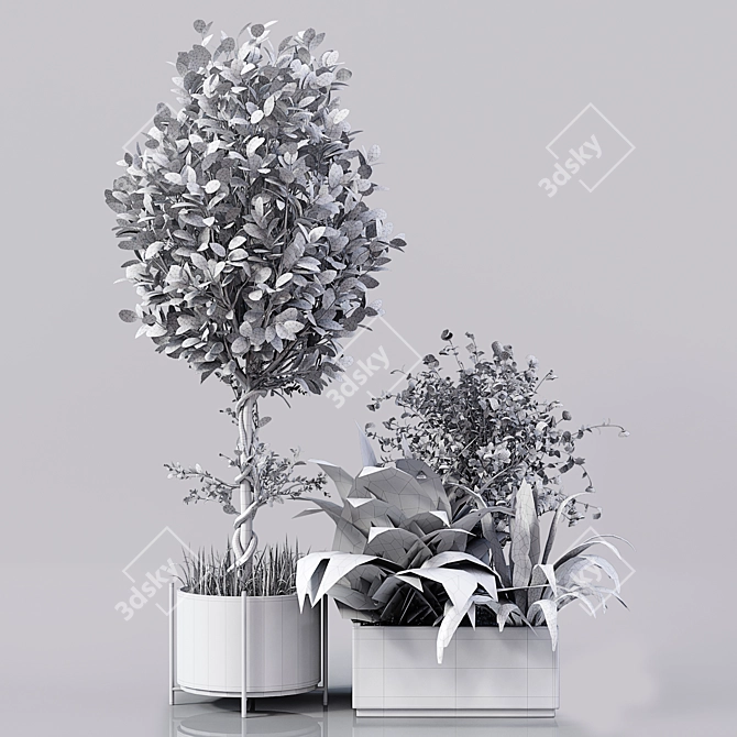 Elegant Indoor Plant Décor 3D model image 4