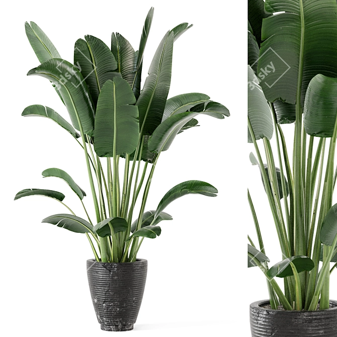 Rusty Concrete Pot Indoor Plants - Set 141 3D model image 1