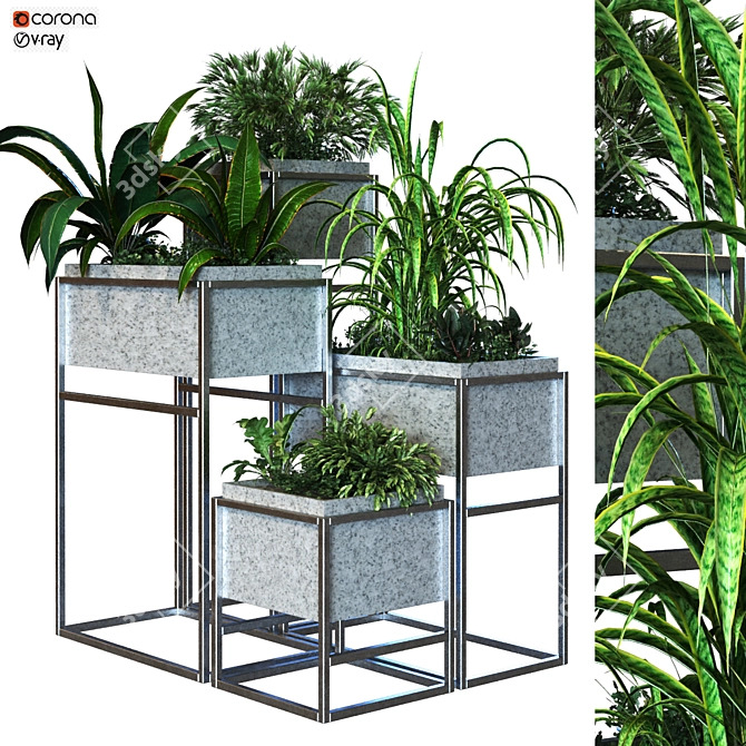 Lush Boxed Plant Set 3D model image 1