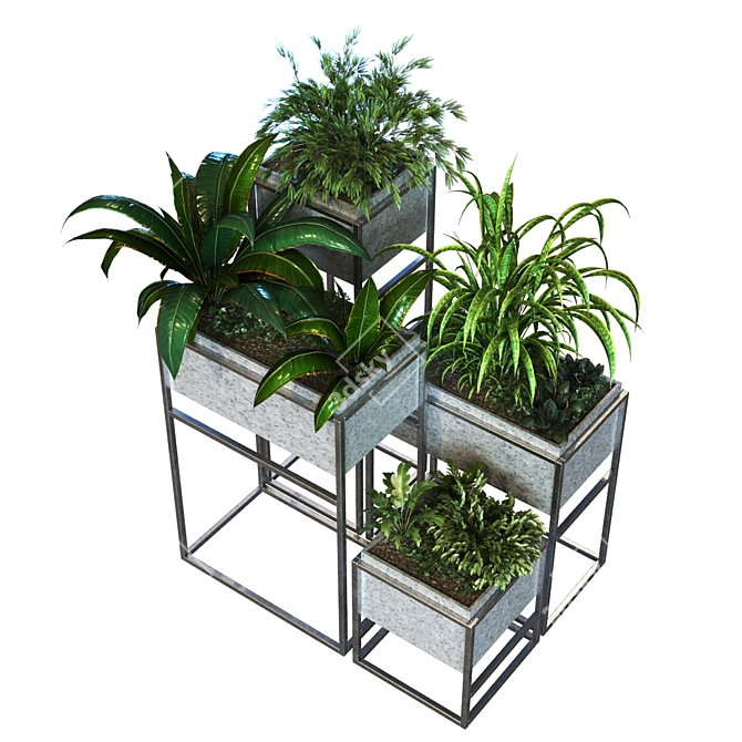 Lush Boxed Plant Set 3D model image 5