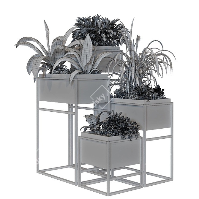 Lush Boxed Plant Set 3D model image 7