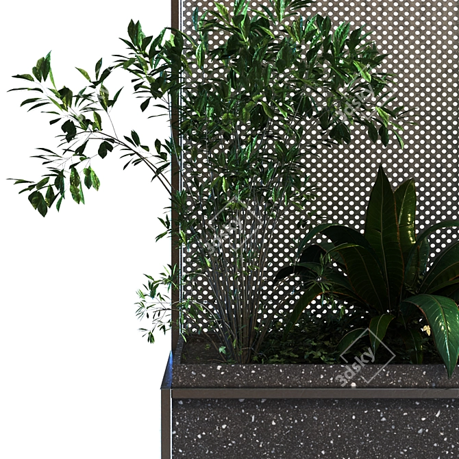 Botanical Greenery Box Set 3D model image 6