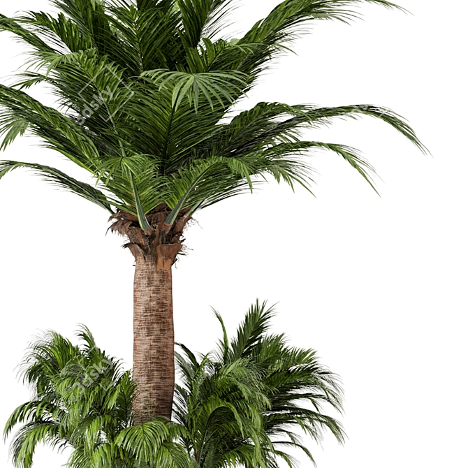 Outdoor Garden Set: Bush & Tree 3D model image 5
