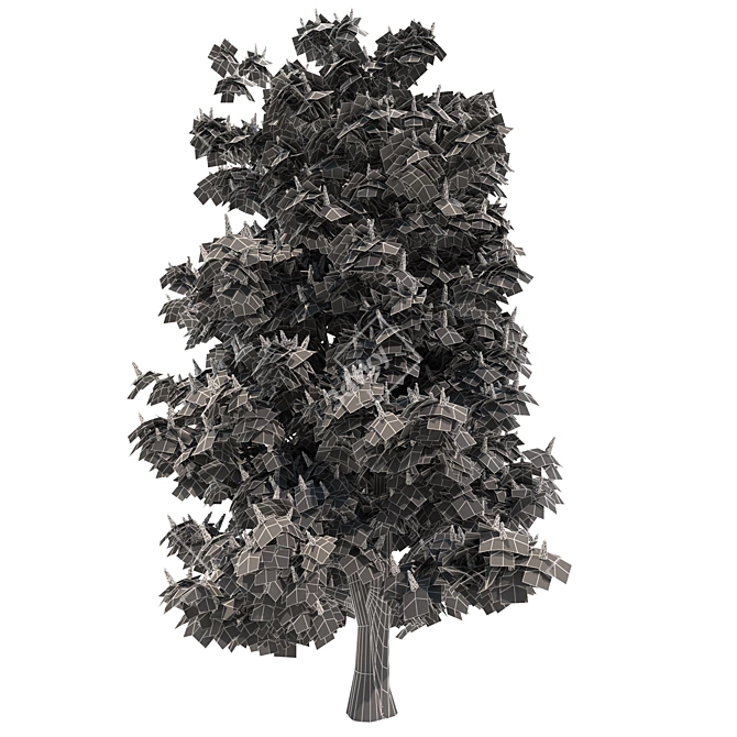 Blooming Chestnut Tree - 3D Model 3D model image 7