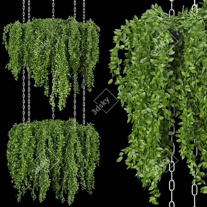 213 Plant Collection: High-Quality Textures & Materials 3D model image 1