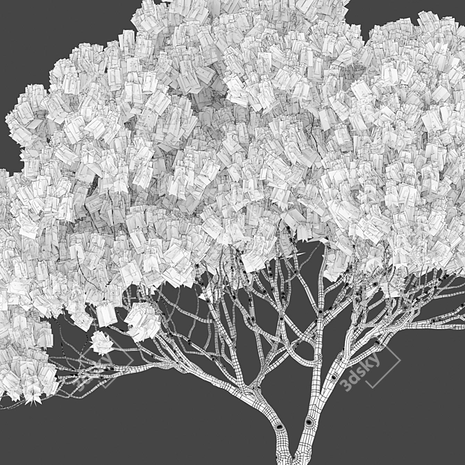 Stone Pine Tree Set (Pinus Pinea) 3D model image 5