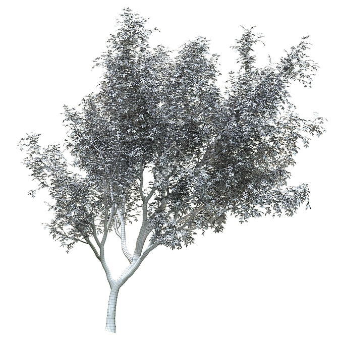 PolyTree: Stunning Landscape Ornament 3D model image 5