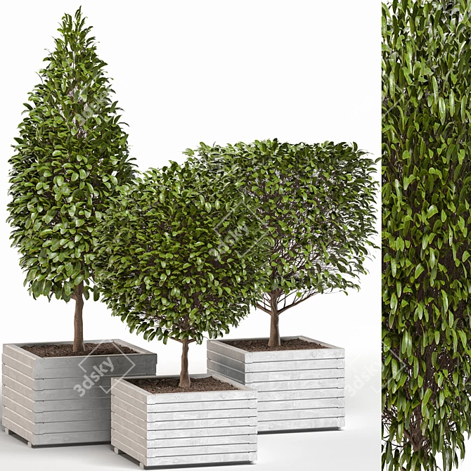 4 Shaped Bush Plants: High-Quality Outdoor Greenery 3D model image 1