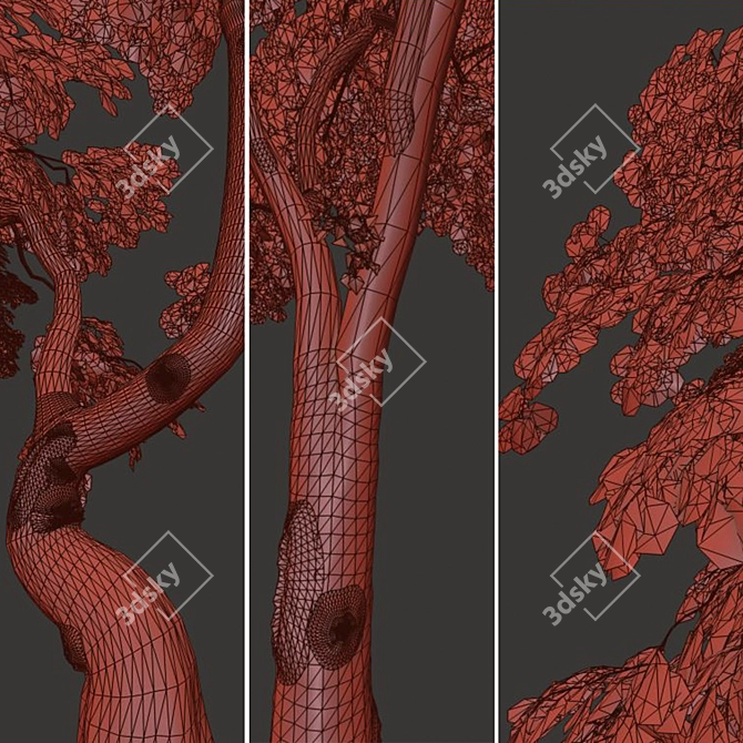 Exquisite Japanese Maple Duo 3D model image 5