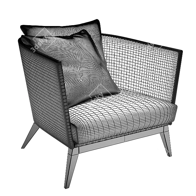 Aegis Rattan Lounge Chair: Elegant, Comfortable, and Durable 3D model image 5