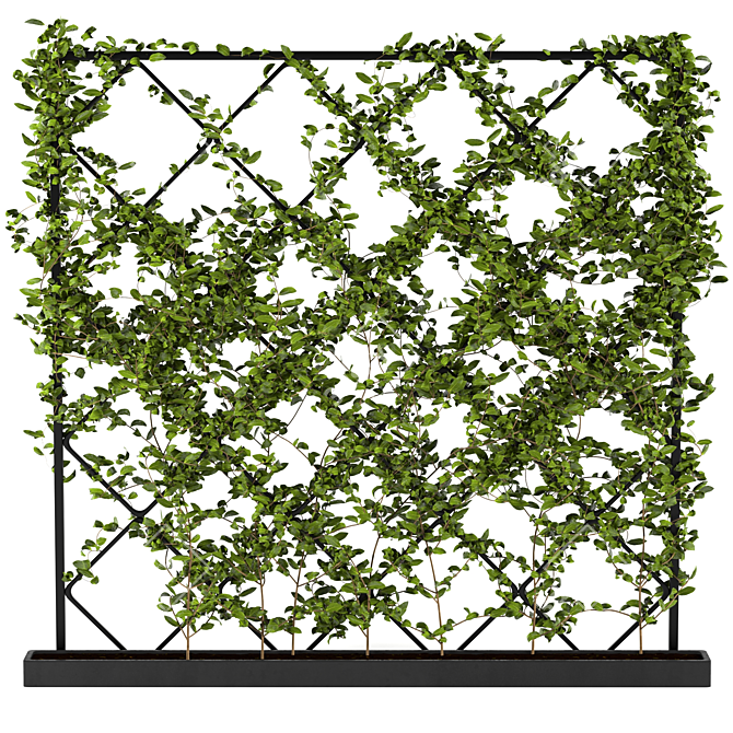 Lush Ivy Plant Set: 3Dmax Models 3D model image 1