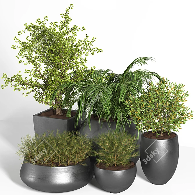 Outdoor Plant Set - 03 | 2015 Version | 3D Model 3D model image 1