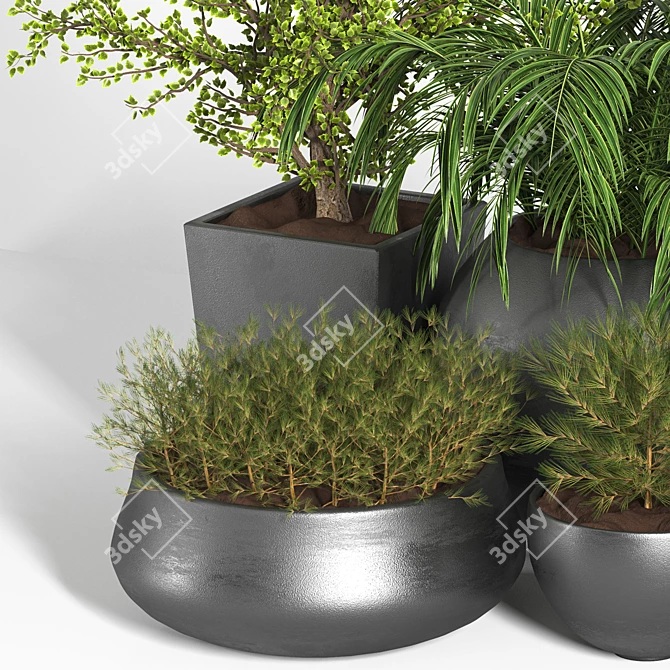 Outdoor Plant Set - 03 | 2015 Version | 3D Model 3D model image 3