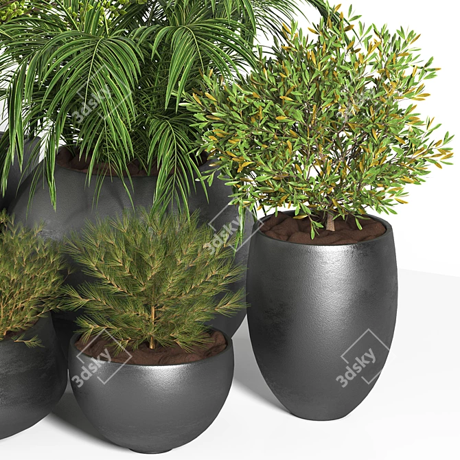 Outdoor Plant Set - 03 | 2015 Version | 3D Model 3D model image 4