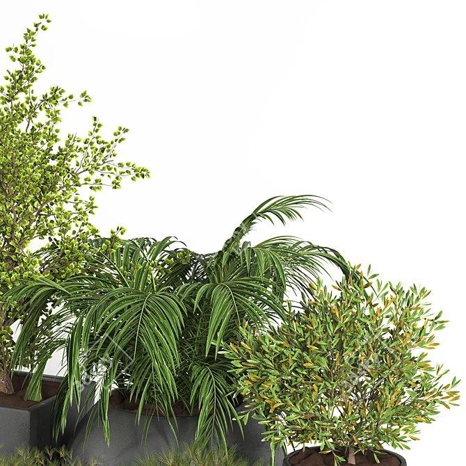 Outdoor Plant Set - 03 | 2015 Version | 3D Model 3D model image 5