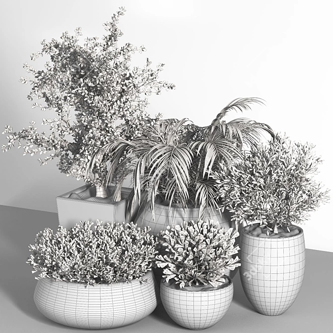 Outdoor Plant Set - 03 | 2015 Version | 3D Model 3D model image 6