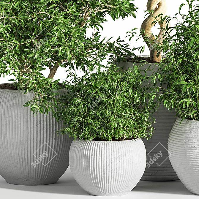 26-Piece Indoor Plant Set: Beautiful Rendrings 3D model image 4