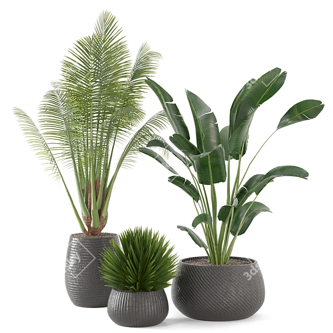 Green Oasis Indoor Plant Set 3D model image 1