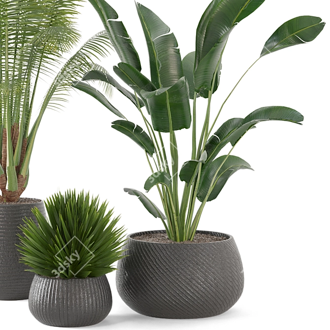 Green Oasis Indoor Plant Set 3D model image 3