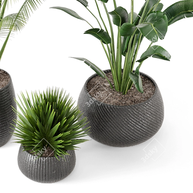 Green Oasis Indoor Plant Set 3D model image 5