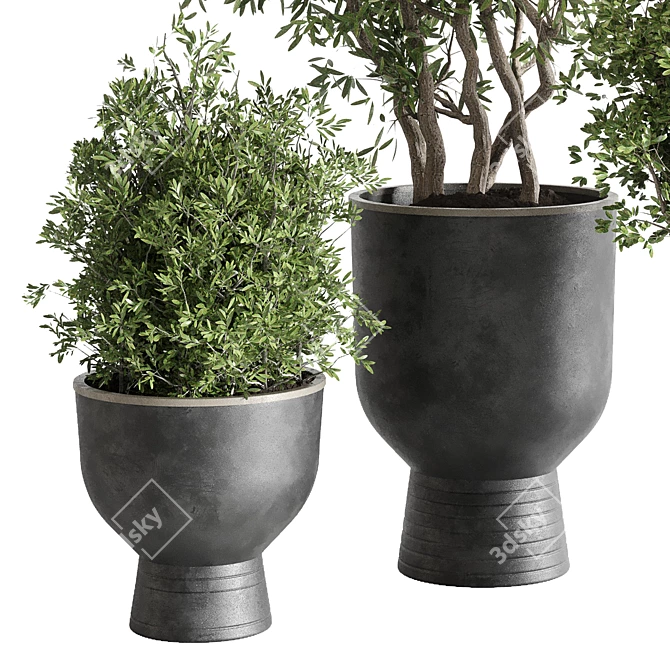 Outdoor Plant Collection: 29 Concrete Vase 3D model image 2