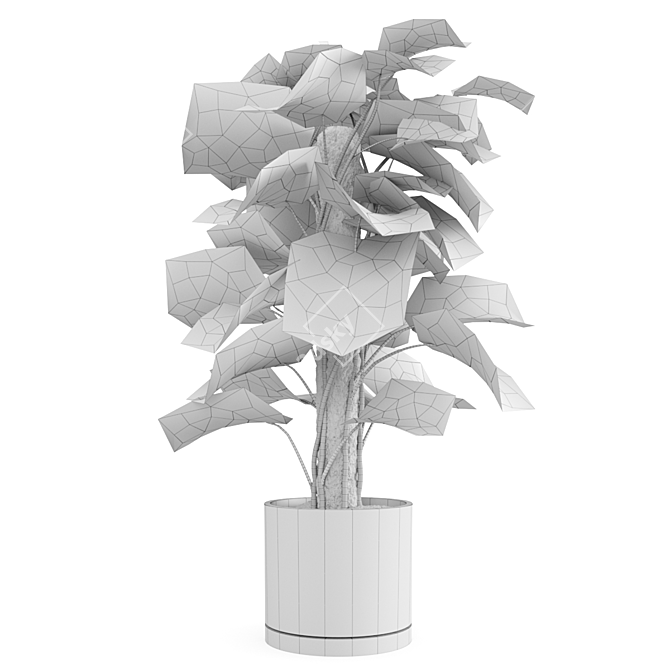 - Lush Monstera Plant: Indoor Greenery 3D model image 5