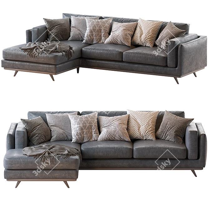 Modern Zander 2pc Chaise Sectional Sofa 3D model image 2