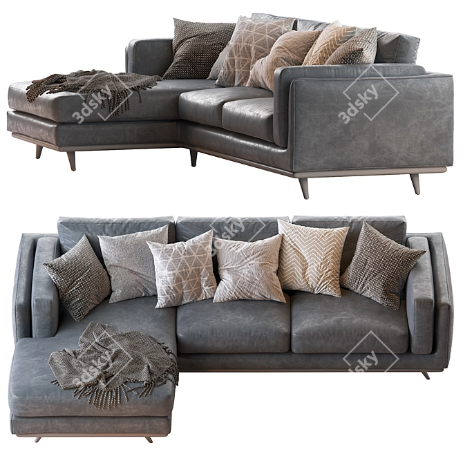 Modern Zander 2pc Chaise Sectional Sofa 3D model image 3
