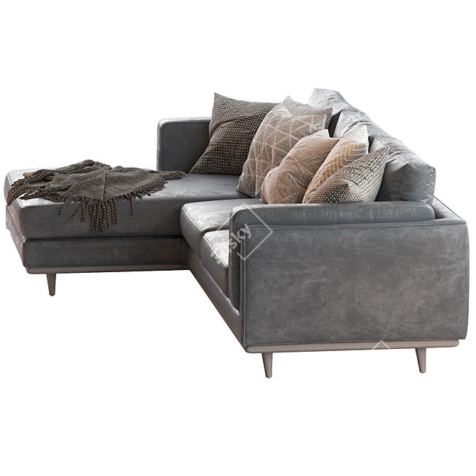 Modern Zander 2pc Chaise Sectional Sofa 3D model image 4